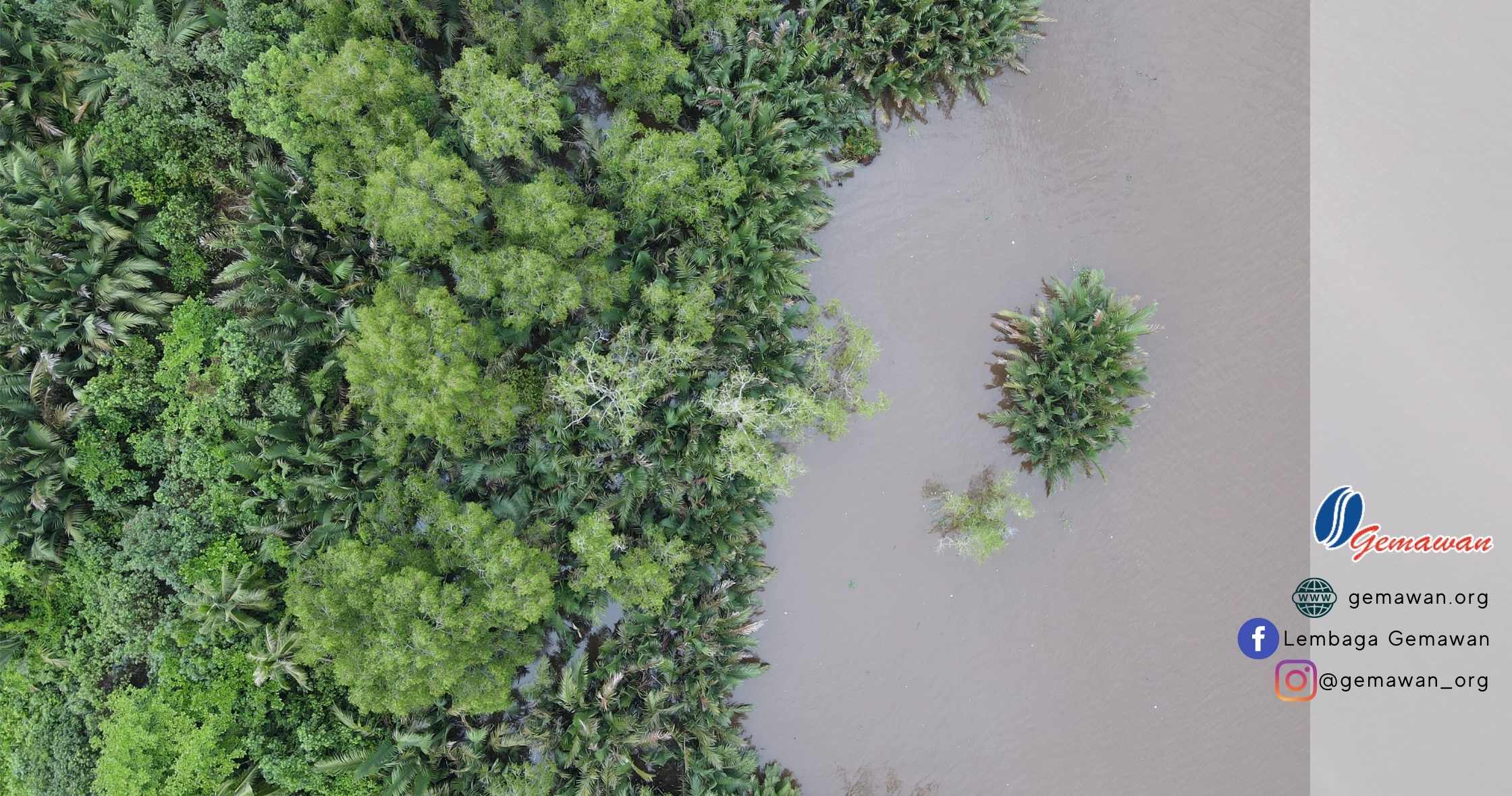 Gemawan Mangrove Action Gunakan Drone di Kalimantan Barat