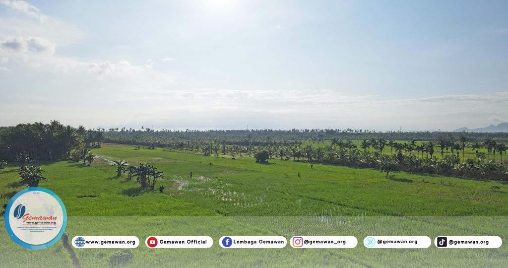 West Kalimantan Food Security: Between Shrinking Rice Fields and Growing Population