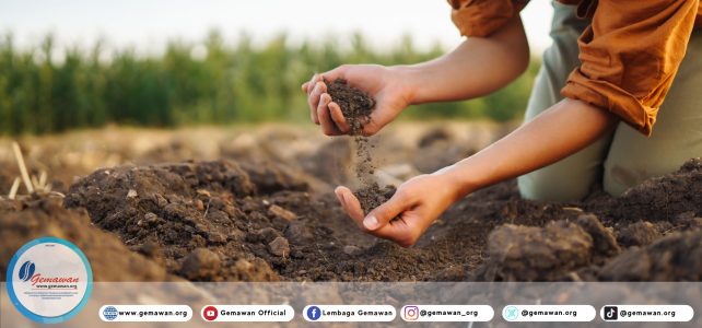 Membangun Kedaulatan Pangan di Kalimantan Barat