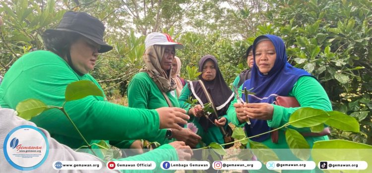 Sekolah Lapang Perempuan SETARA Sekolah Lapang Setara