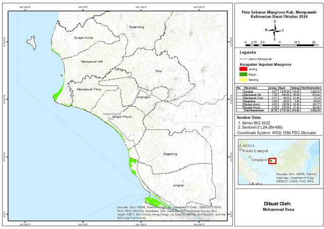 Mempawah Mangroves: The Dynamics of Borneo’s Coastal Shield (2018-2024)