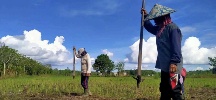 Solusi Krisis Iklim climate change solution