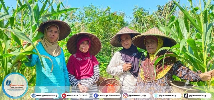 Analog Forest Sebagai Warisan untuk Masa Depan Analog Forest Daun Piawas