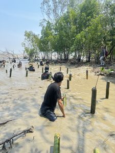 Aksi Tanam Mangrove di Sungai Bakau Kecil, Perkuat Perlindungan Pesisir dari Abrasi