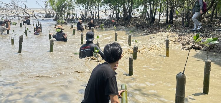 Aksi Tanam Mangrove di Sungai Bakau Kecil, Perkuat Perlindungan Pesisir dari Abrasi Aksi Tanam Mangrove di Sungai Bakau Kecil, Perkuat Perlindungan Pesisir dari Abrasi