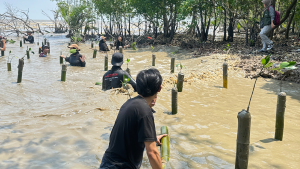 Aksi Tanam Mangrove di Sungai Bakau Kecil, Perkuat Perlindungan Pesisir dari Abrasi