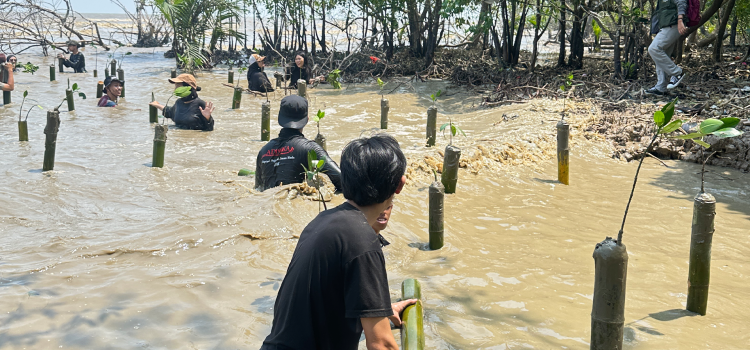 Aksi Tanam Mangrove di Sungai Bakau Kecil, Perkuat Perlindungan Pesisir dari Abrasi Aksi Tanam Mangrove di Sungai Bakau Kecil, Perkuat Perlindungan Pesisir dari Abrasi