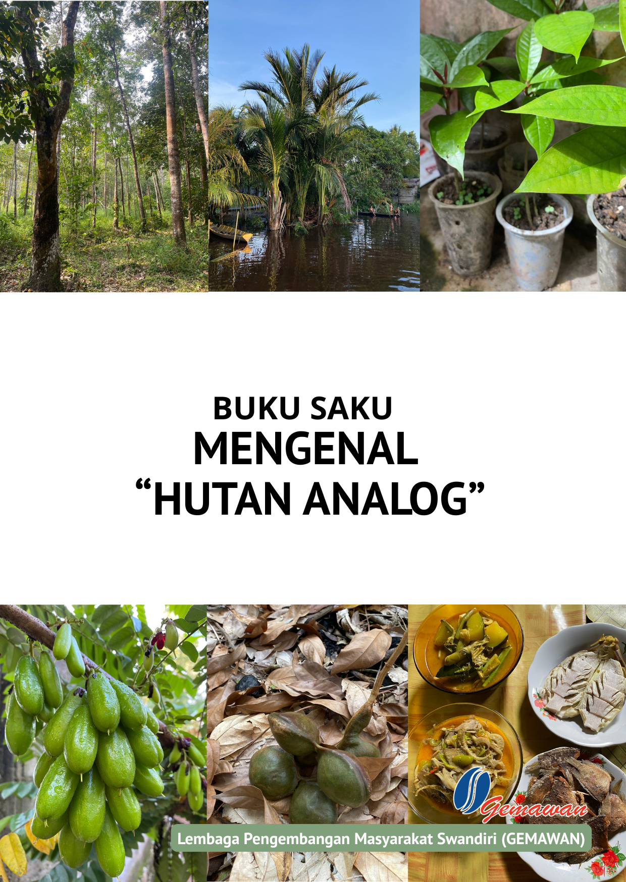 Apa itu Hutan Analog