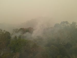Satu Dekade Persetujuan Paris, Karhutla Terus Berulang: Masyarakat Sipil Kalimantan Tagih Akuntabilitas Negara dan Pemegang Konsesi