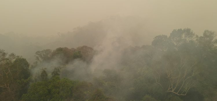 Satu Dekade Persetujuan Paris, Karhutla Terus Berulang: Masyarakat Sipil Kalimantan Tagih Akuntabilitas Negara dan Pemegang Konsesi